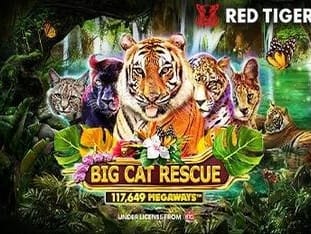 Big Cat Rescue Megaways™ icon
